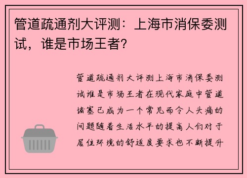 管道疏通剂大评测：上海市消保委测试，谁是市场王者？